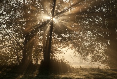 Promienie słoneczne