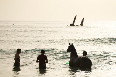 Morze, koń i ludzie - Libia